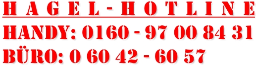 Hagel-Hotline